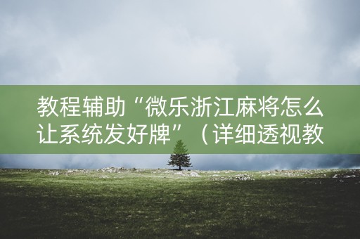 教程辅助“微乐浙江麻将怎么让系统发好牌”（详细透视教程）-哔哩哔哩