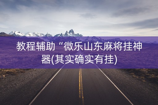 教程辅助“微乐山东麻将挂神器(其实确实有挂)