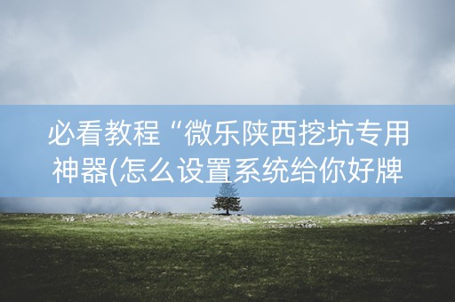 必看教程“微乐陕西挖坑专用神器(怎么设置系统给你好牌)