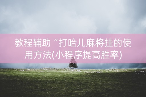 教程辅助“打哈儿麻将挂的使用方法(小程序提高胜率)