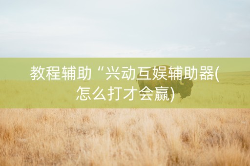 教程辅助“兴动互娱辅助器(怎么打才会赢)