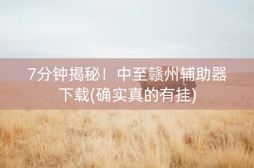 7分钟揭秘！中至赣州辅助器下载(确实真的有挂)