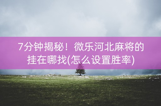 7分钟揭秘！微乐河北麻将的挂在哪找(怎么设置胜率)