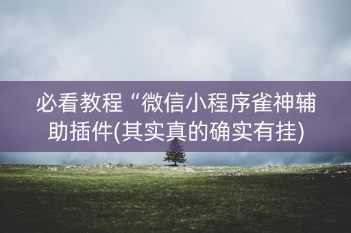 必看教程“微信小程序雀神辅助插件(其实真的确实有挂)
