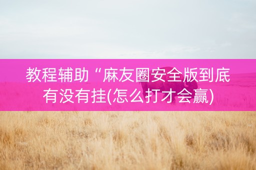教程辅助“麻友圈安全版到底有没有挂(怎么打才会赢)