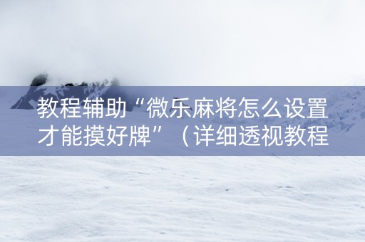 教程辅助“微乐麻将怎么设置才能摸好牌”（详细透视教程）-哔哩哔哩