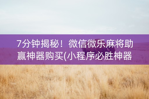 7分钟揭秘！微信微乐麻将助赢神器购买(小程序必胜神器)