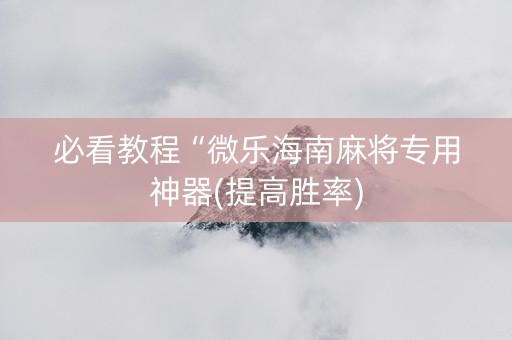 必看教程“微乐海南麻将专用神器(提高胜率)