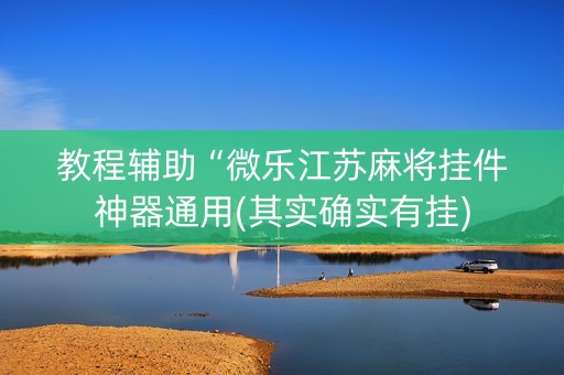 教程辅助“微乐江苏麻将挂件神器通用(其实确实有挂)