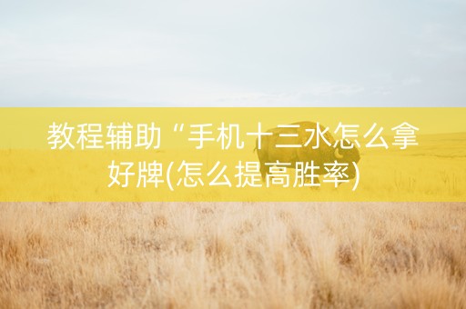 教程辅助“手机十三水怎么拿好牌(怎么提高胜率)