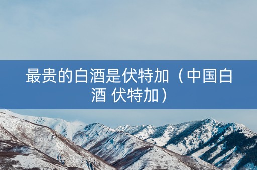 最贵的白酒是伏特加（中国白酒 伏特加）