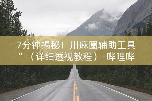 7分钟揭秘！川麻圈辅助工具”（详细透视教程）-哔哩哔哩