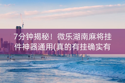 7分钟揭秘！微乐湖南麻将挂件神器通用(真的有挂确实有挂)