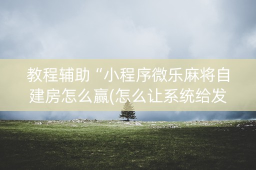教程辅助“小程序微乐麻将自建房怎么赢(怎么让系统给发好牌)