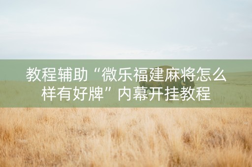 教程辅助“微乐福建麻将怎么样有好牌”内幕开挂教程