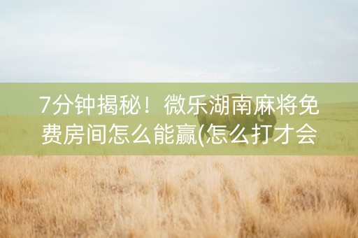 7分钟揭秘！微乐湖南麻将免费房间怎么能赢(怎么打才会赢)