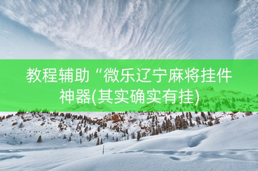 教程辅助“微乐辽宁麻将挂件神器(其实确实有挂)