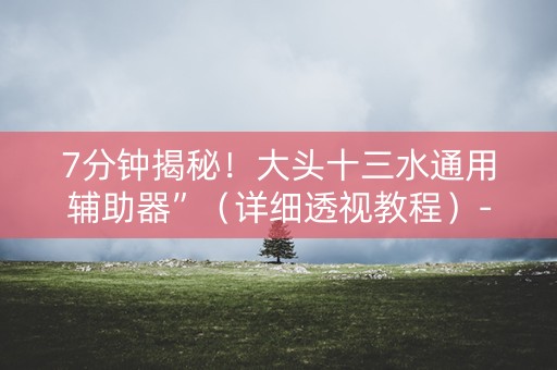 7分钟揭秘！大头十三水通用辅助器”（详细透视教程）-哔哩哔哩