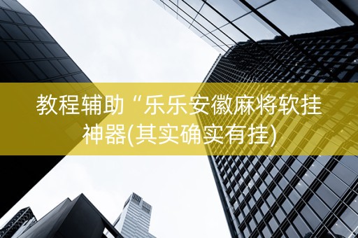 教程辅助“乐乐安徽麻将软挂神器(其实确实有挂)