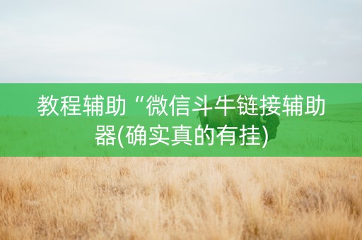 教程辅助“微信斗牛链接辅助器(确实真的有挂)