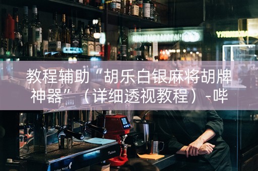 教程辅助“胡乐白银麻将胡牌神器”（详细透视教程）-哔哩哔哩