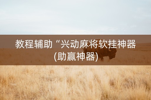 教程辅助“兴动麻将软挂神器(助赢神器)