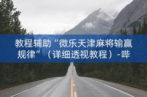 教程辅助“微乐天津麻将输赢规律”（详细透视教程）-哔哩哔哩