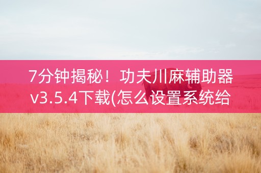 7分钟揭秘！功夫川麻辅助器v3.5.4下载(怎么设置系统给你好牌)