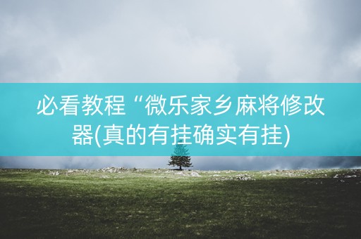 必看教程“微乐家乡麻将修改器(真的有挂确实有挂)