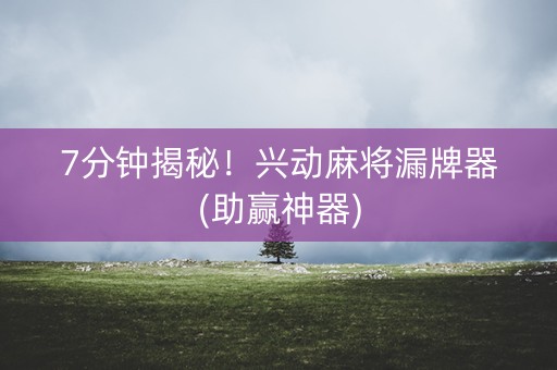 7分钟揭秘！兴动麻将漏牌器(助赢神器)