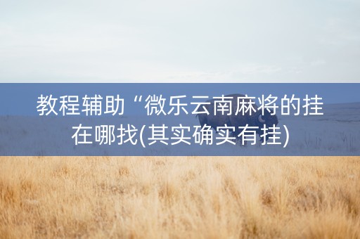 教程辅助“微乐云南麻将的挂在哪找(其实确实有挂)