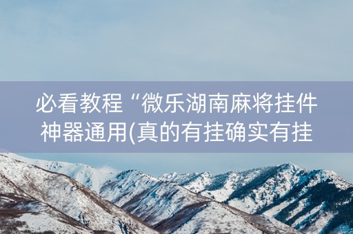 必看教程“微乐湖南麻将挂件神器通用(真的有挂确实有挂)