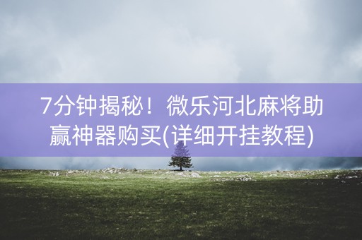7分钟揭秘！微乐河北麻将助赢神器购买(详细开挂教程)