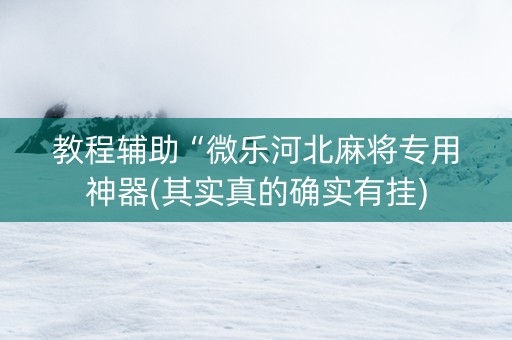 教程辅助“微乐河北麻将专用神器(其实真的确实有挂)