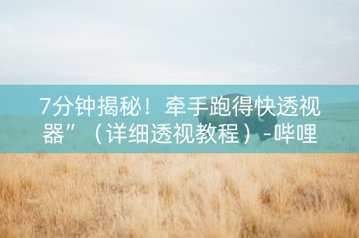 7分钟揭秘！牵手跑得快透视器”（详细透视教程）-哔哩哔哩