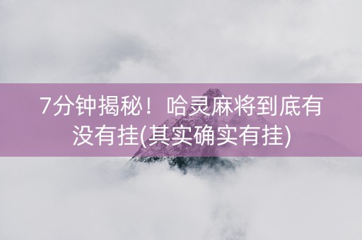 7分钟揭秘！哈灵麻将到底有没有挂(其实确实有挂)