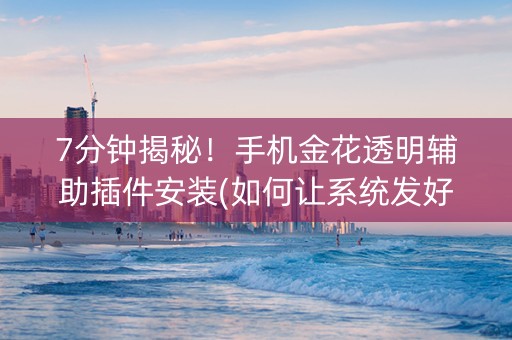 7分钟揭秘！手机金花透明辅助插件安装(如何让系统发好牌)