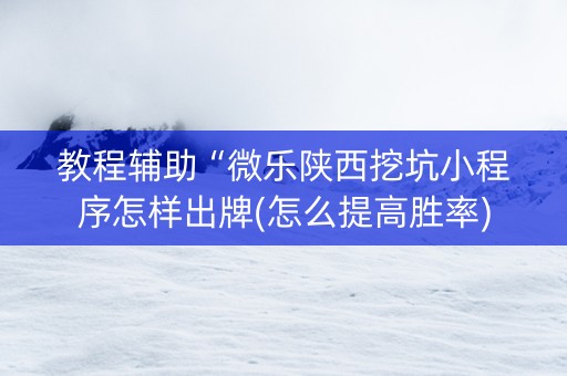 教程辅助“微乐陕西挖坑小程序怎样出牌(怎么提高胜率)