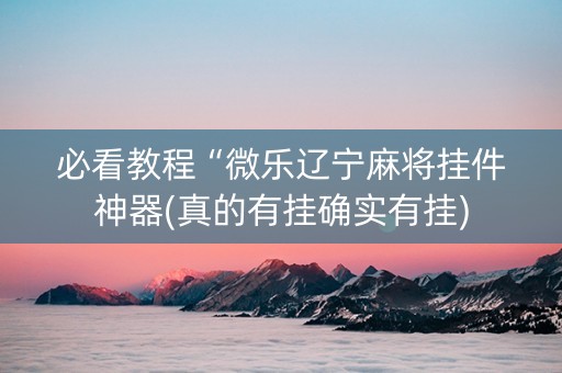 必看教程“微乐辽宁麻将挂件神器(真的有挂确实有挂)