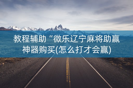 教程辅助“微乐辽宁麻将助赢神器购买(怎么打才会赢)