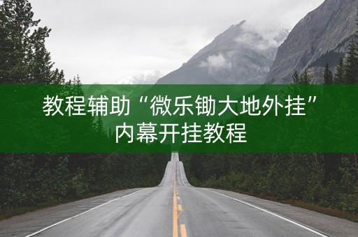 教程辅助“微乐锄大地外挂”内幕开挂教程