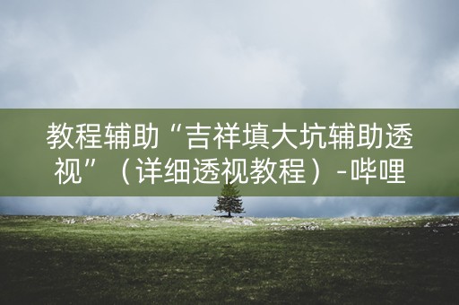 教程辅助“吉祥填大坑辅助透视”（详细透视教程）-哔哩哔哩