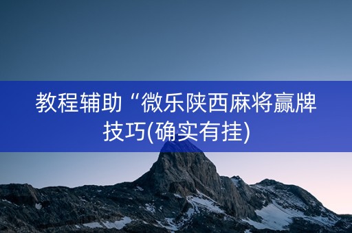 教程辅助“微乐陕西麻将赢牌技巧(确实有挂)