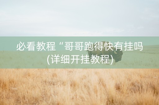 必看教程“哥哥跑得快有挂吗(详细开挂教程)