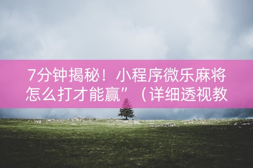 7分钟揭秘！小程序微乐麻将怎么打才能赢”（详细透视教程）-哔哩哔哩