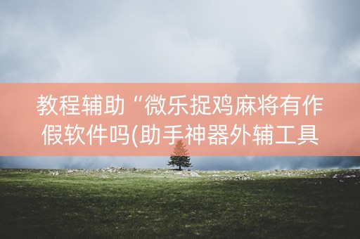 教程辅助“微乐捉鸡麻将有作假软件吗(助手神器外辅工具)