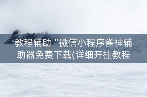教程辅助“微信小程序雀神辅助器免费下载(详细开挂教程)