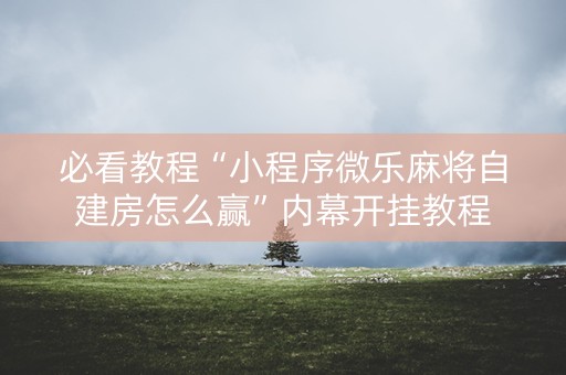 必看教程“小程序微乐麻将自建房怎么赢”内幕开挂教程
