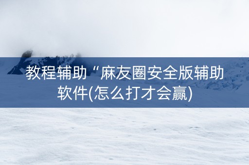 教程辅助“麻友圈安全版辅助软件(怎么打才会赢)