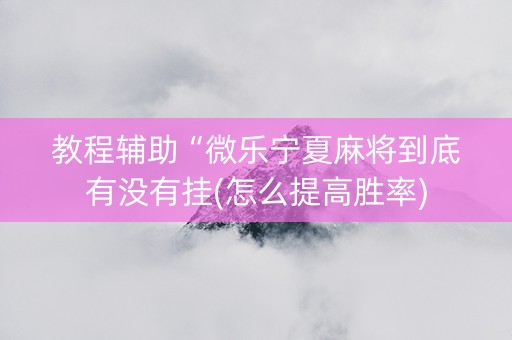 教程辅助“微乐宁夏麻将到底有没有挂(怎么提高胜率)